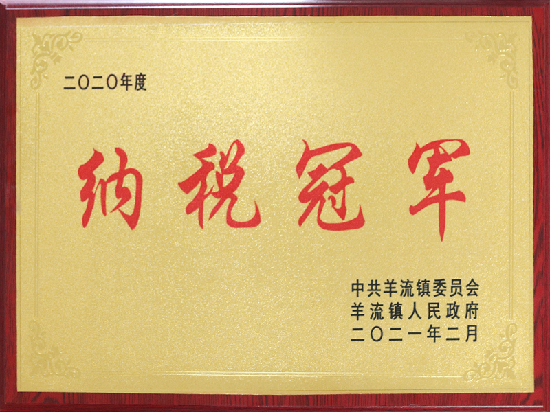 納稅冠軍